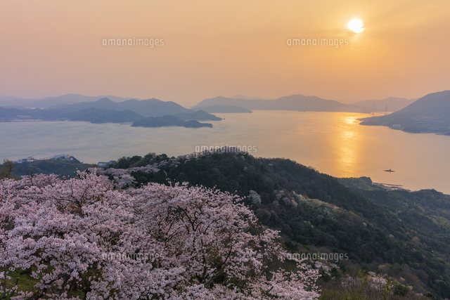 桜咲く積善山より瀬戸内海と伯方島と夕日[25516053843]の写真