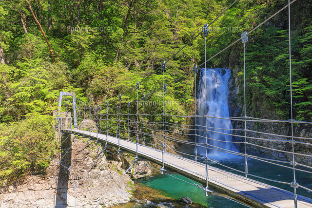 滝・吊り橋と山小屋 2025年 大山滝吊り橋 - 出発前に知っておくべきことすべて