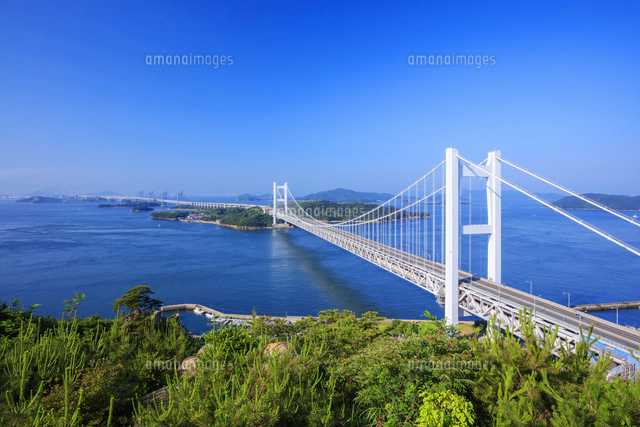 鷲羽山より瀬戸内海と瀬戸大橋[25516054541]の写真・イラスト素材