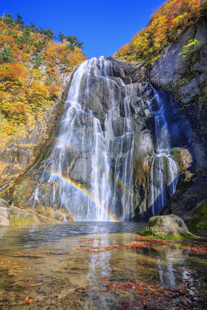 紅葉の安の滝と虹 中ノ又渓谷[25516055135]の写真・イラスト素材