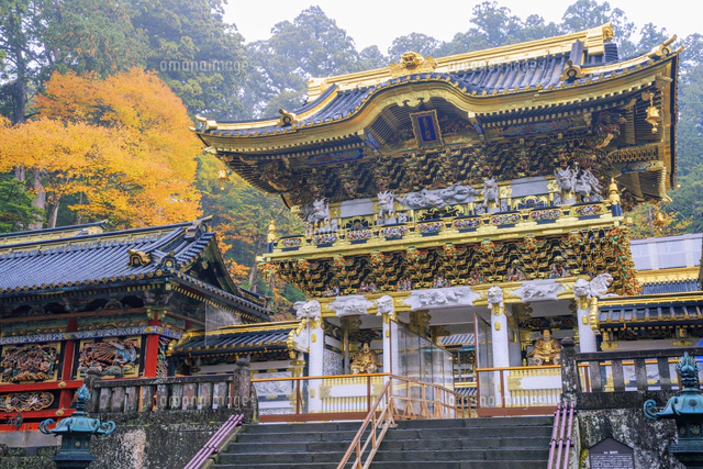 紅葉の神橋 日光二荒山神社 の写真素材 イラスト素材 アマナイメージズ