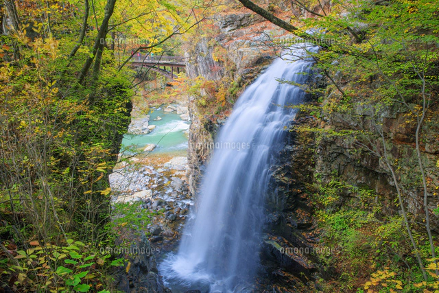 観山　虹の龍の滝登り 紅葉の龍王峡 虹見の滝[25516055427]の写真・イラスト素材