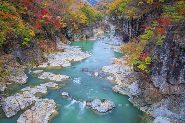 紅葉の龍王峡 虹見の滝[25516055427]の写真・イラスト素材