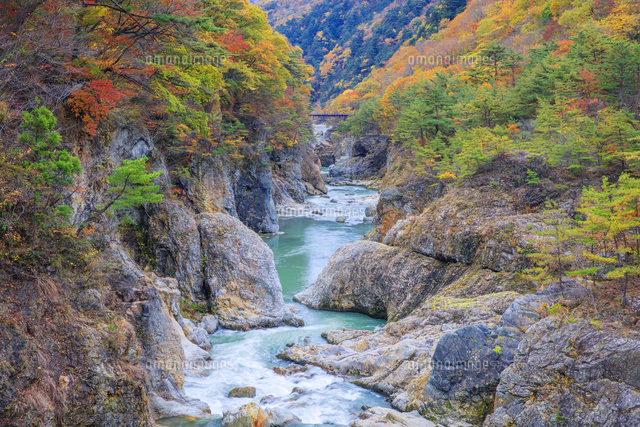 紅葉の龍王峡 虹見の滝[25516055427]の写真・イラスト素材