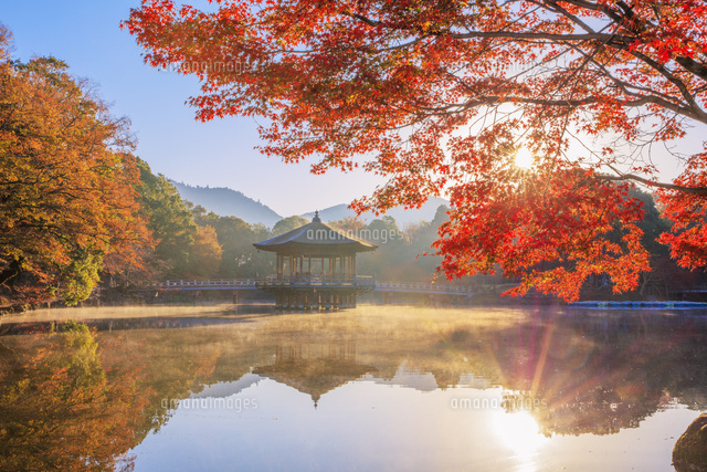 紅葉の鷺池と浮御堂と朝日 奈良公園 の写真素材 イラスト素材 アマナイメージズ