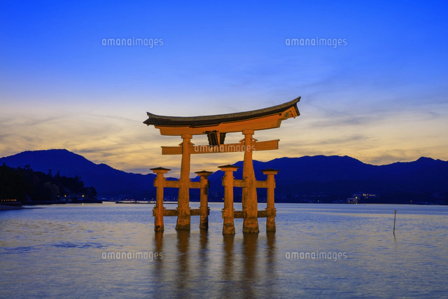 宮島 厳島神社 大鳥居夕景[25516056502]の写真・イラスト素材｜アマナ