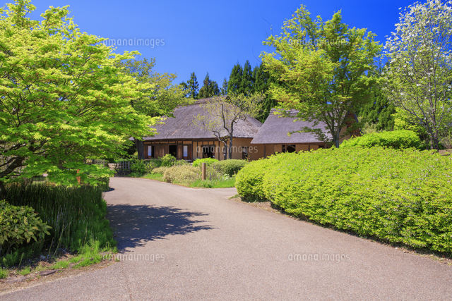 釜房の家 国営みちのく杜の湖畔公園[25516057267]の写真素材・イラスト 
