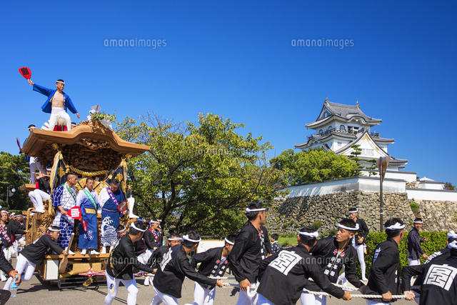 岸和田だんじり祭りと岸和田城 の写真素材 イラスト素材 アマナイメージズ