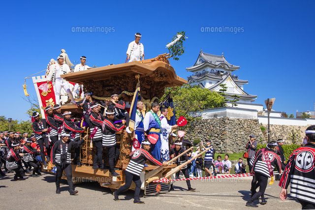 岸和田だんじり祭りと岸和田城 の写真素材 イラスト素材 アマナイメージズ