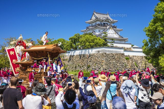 岸和田だんじり祭りと岸和田城 の写真素材 イラスト素材 アマナイメージズ