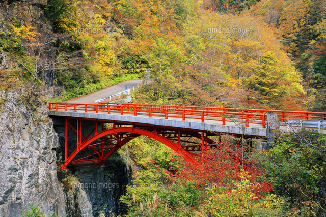 紅葉の中津川渓谷 前倉橋 秋山郷 の写真素材 イラスト素材 アマナイメージズ