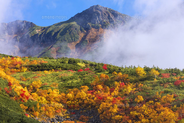 水彩画 キガラシと十勝岳連峰 富良野の自然風景