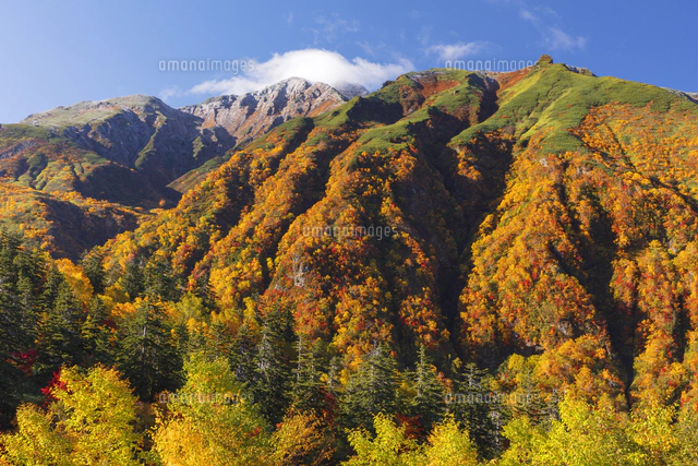 十勝岳温泉より紅葉の斜面と富良野岳 十勝岳連峰[25516060939]の