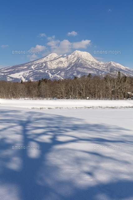 雪原と妙高山[25516062268]の写真・イラスト素材｜アマナイメージズ