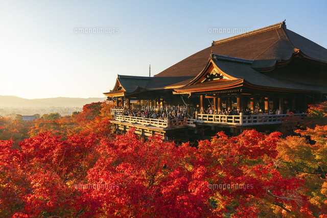 第16番札所 紅葉の清水寺 本堂(国宝)夕景[25516065342]の写真