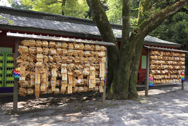 府中大國魂神社絵馬[25531002139]の写真・イラスト素材｜アマナイメージズ