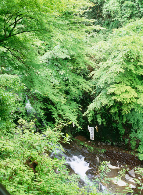 太閤石風呂と蛇骨川 の写真素材 イラスト素材 アマナイメージズ