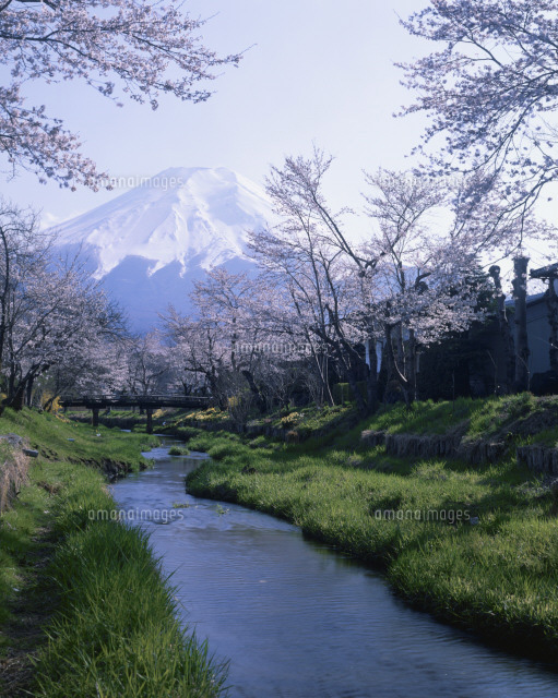 春の小川と富士山 の写真素材 イラスト素材 アマナイメージズ 春の小川と富士山 の写真素材 イラスト素材 アマナイメージズ