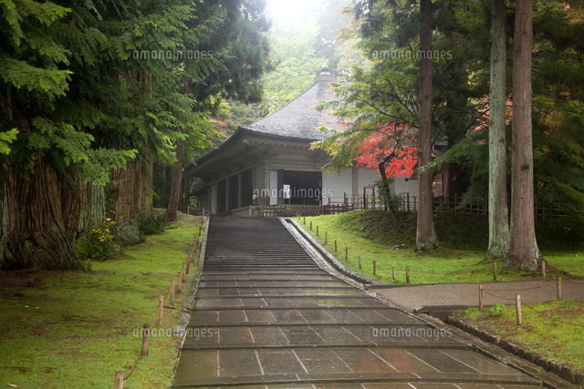 雨の中尊寺金色堂 の写真素材 イラスト素材 アマナイメージズ