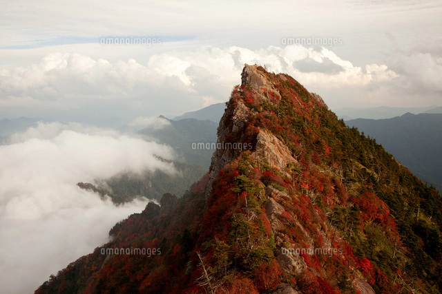 石鎚山弥山より望む霊峰天狗岳と雲海といわし雲[25532010587]の写真