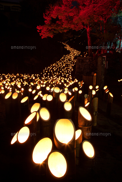 紅葉ライトアップと竹楽 の写真素材 イラスト素材 アマナイメージズ