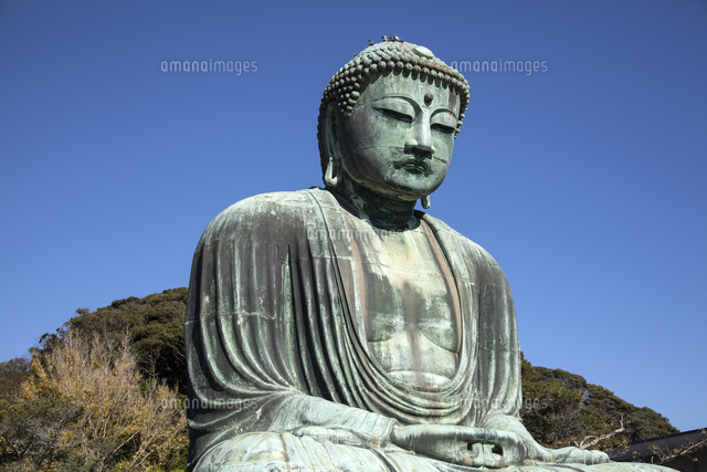 鎌倉大仏 の写真素材 イラスト素材 アマナイメージズ