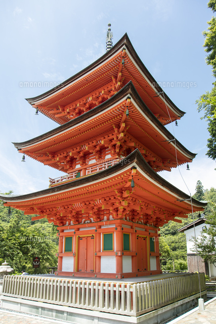 竹生島宝厳寺三重の塔[25532011649]の写真・イラスト素材｜アマナ