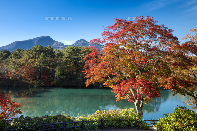 秋の五色沼と磐梯山[25532011680]の写真・イラスト素材｜アマナイメージズ