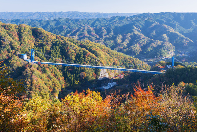 紅葉の竜神大吊橋 の写真素材 イラスト素材 アマナイメージズ