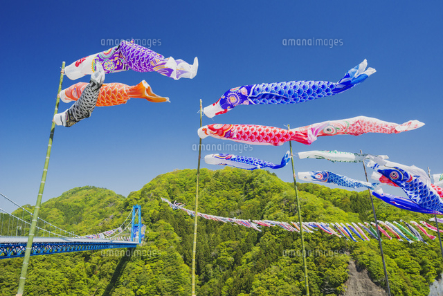 こいのぼりの竜神大吊橋 の写真素材 イラスト素材 アマナイメージズ