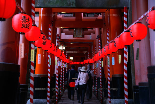伏見稲荷大社の本宮祭 鳥居と提灯 の写真素材 イラスト素材 アマナイメージズ