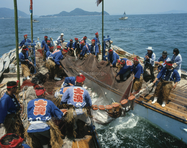 鞆の浦の観光鯛網 の写真素材 イラスト素材 アマナイメージズ