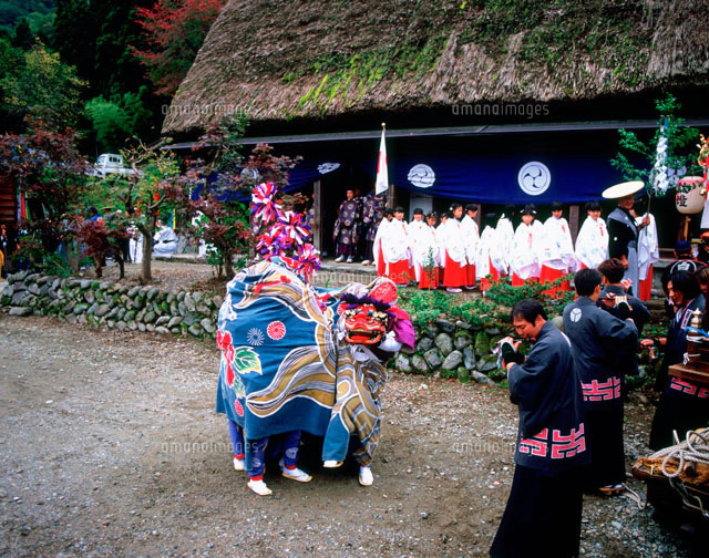 白川郷どぶろく祭り どぶろく神事[25610002427]の写真・イラスト
