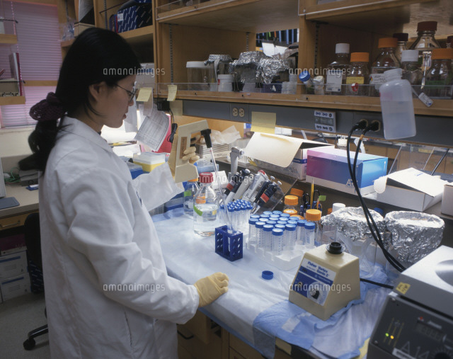 研究室 の写真素材 イラスト素材 アマナイメージズ