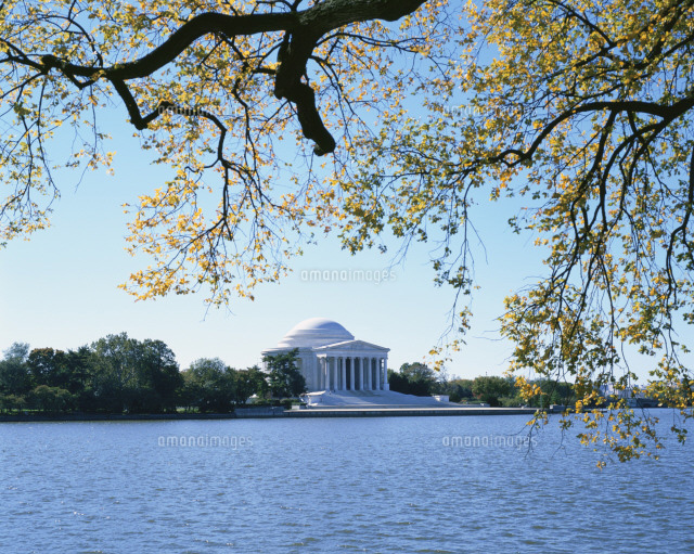 ジェファソン記念館とタイダルベイスン の写真素材 イラスト素材 アマナイメージズ