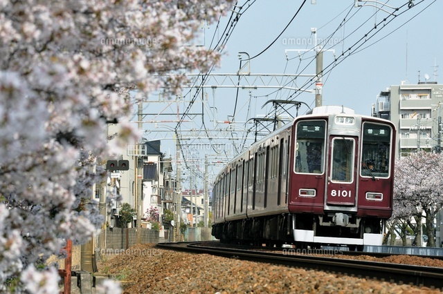 桜と阪急神戸線の8000系普通[25668001237]の写真・イラスト素材