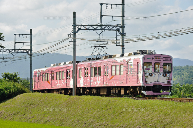 伊賀鉄道の200系忍者電車（ピンク忍者ラッピング車）[25668001705]の