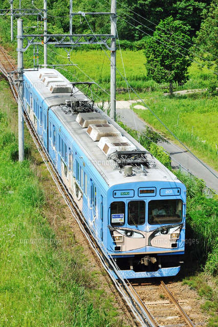 伊賀鉄道の200系忍者電車（ピンク忍者ラッピング車）[25668001705]の