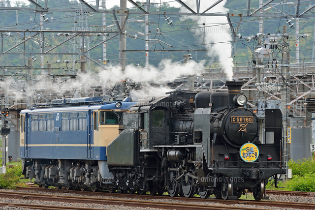 C56とEF65機関車[25668002105]の写真・イラスト素材｜アマナイメージズ