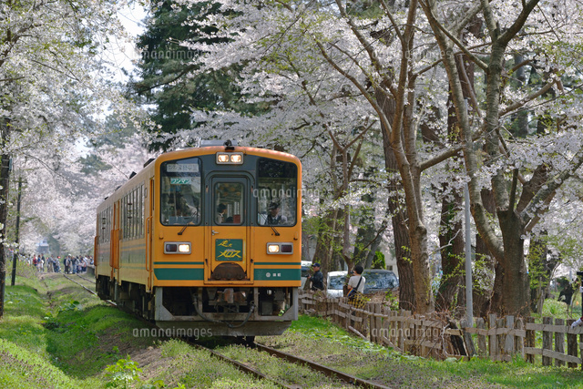 列車の旅 メロス号 春を行く(津軽鉄道) 500ピース ジグソーパズル 列車の旅 メロス号 春を行く(津軽鉄道) 500ピース ジグソーパズル 列車の旅