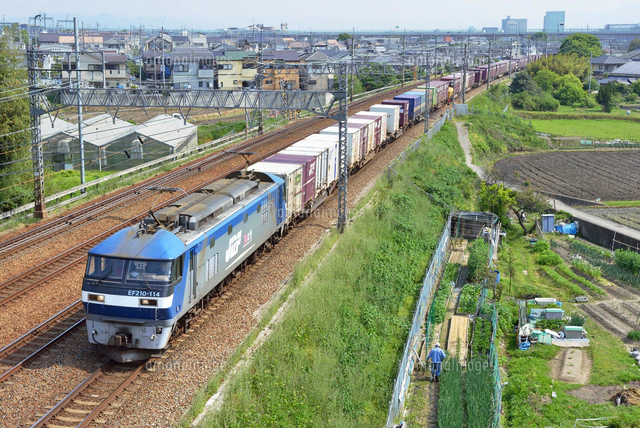 鉄道写真特急くろしお 8/13 阪和線 くろしお4号 📷Nikon Z50/tamron A025 #289系 #289