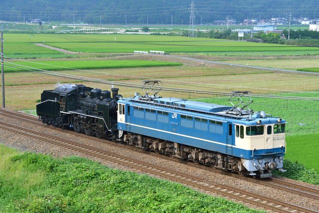 681系「サンダーバード」を見る～元色編成を．その28 : Msykの業務