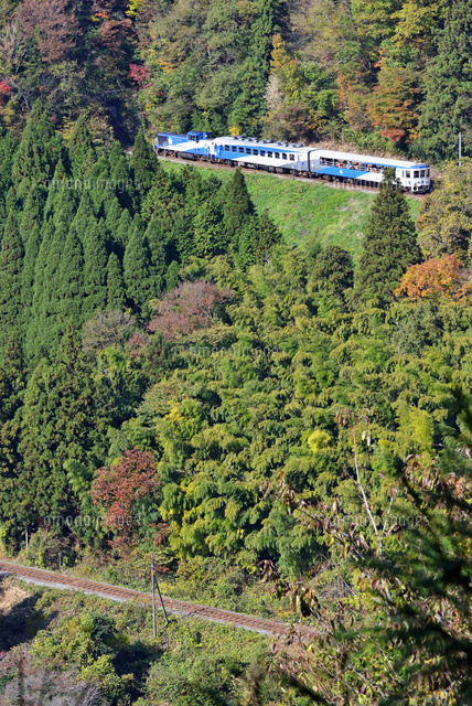 奥出雲おろち号　木製パネル　木次線　ラストラン　限定品　新品未開封 Nゲージ＞木次線 奥出雲おろち号 Modellbahn Spur N Model