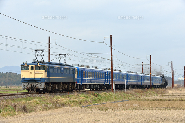 Ef65牽引回送sl北びわこ号 の写真素材 イラスト素材 アマナイメージズ