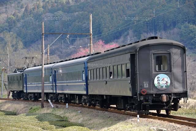 1958年が多く59年と64年が1枚 大量 初日カバー 電気機関車 電車 絵葉書 Amazon.co.jp: EF58 最後に輝いた記録 : 諸河 久: 本