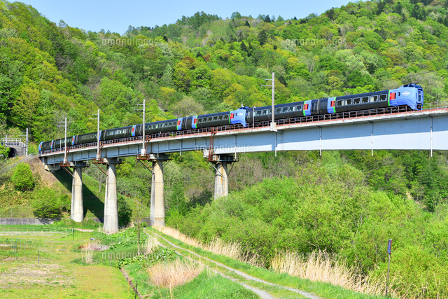 崖の上 283系＜オーシャンアロー＞