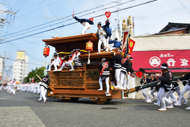 貝塚のだんじり祭り の写真素材 イラスト素材 アマナイメージズ