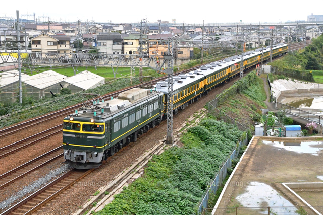 EF81牽引サロンカーなにわ（琵琶湖一周号）[25668003916]の写真