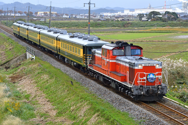DD51牽引サロンカーなにわ[25668003972]の写真・イラスト素材
