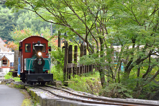 魚梁瀬森林鉄道[25668004077]の写真・イラスト素材｜アマナイメージズ